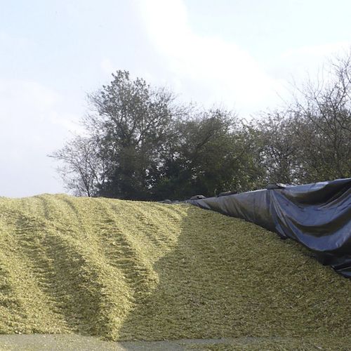 Bâche d'ensilage - TECHNO’SIL 125 - Barbier Groupe - anti-UV / noir