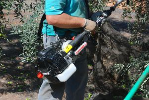 Vibreur à olives à essence - SC800 - Cifarelli