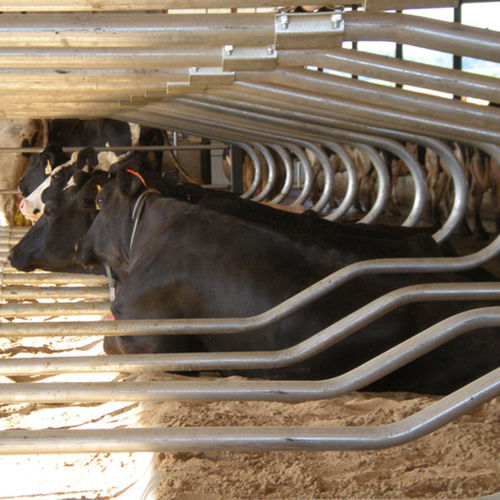 Matelas pour vaches en caoutchouc - Pack Mat™ - Promat Inc. - de tissus / pour logettes / confort des vaches