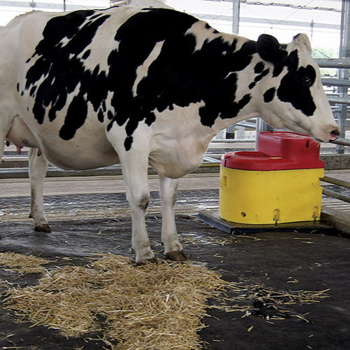 Matelas pour vaches en caoutchouc - Special Needs Mat - Promat Inc. - confort des vaches / Soulagement articulaire / Étanchéité étanche