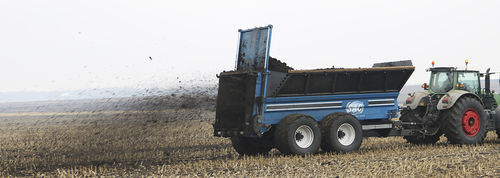 Épandeur de fumier traîné - M SERIES - Sioux Automation Center Inc. - à hérissons verticaux / à 2 essieux