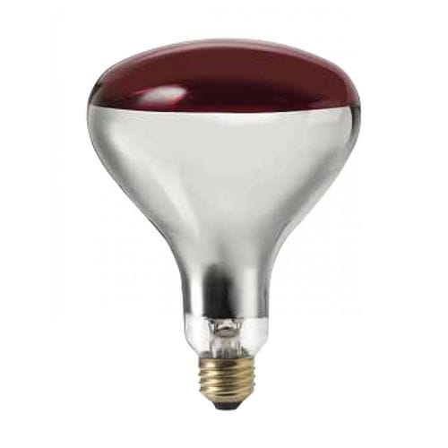Ampoule chauffante pour porcelets - B-HL_R40R - Faromor Ltd - à infrarouge