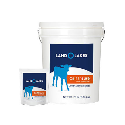 Complément alimentaire pour animaux - Calf Insure® - Land O'Lakes Animal Milk Products Co. - pour veaux / de vitamines / de minéraux