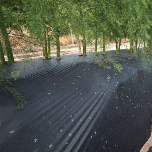 Bâche biodégradable - OERLEMANS PLASTICS BV - couvre-sol