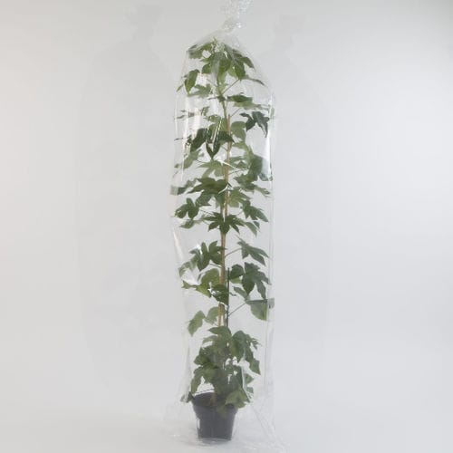 Filet de protection - OERLEMANS PLASTICS BV - d'emballage / en plastique / pour jardin