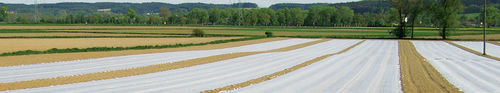 Housse de protection pour serre - TGU GmbH & Co. KG - au sol
