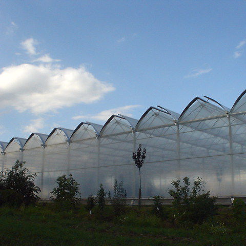 Serre multi chapelle - Cabrio Top Air - VERMAKO GREEN HOUSES - venlo / de production / en plastique