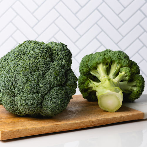 Semence de brocoli demi-tardive - Target - SAKATA ORNAMENTALS EUROPE A/S - hybride