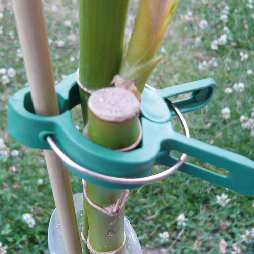 Clip de tuteurage en plastique - Vilmorin Jardin (Vilmorin Garden/ VDB) - avec attaches