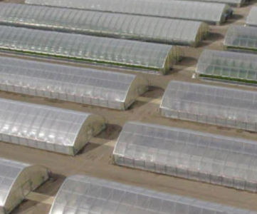 Serre à tunnel - Cold Frame series - Conley's Manufacturing & Sales - de production / en plastique / avec structure en acier