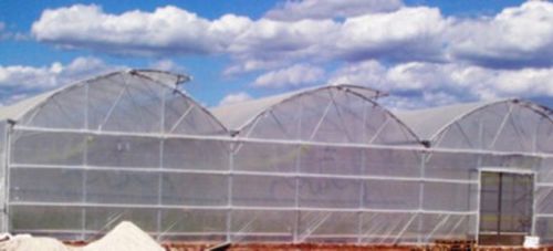 Serre multi chapelle - Haygrove Tunnels - de production / ornementale / en PVC