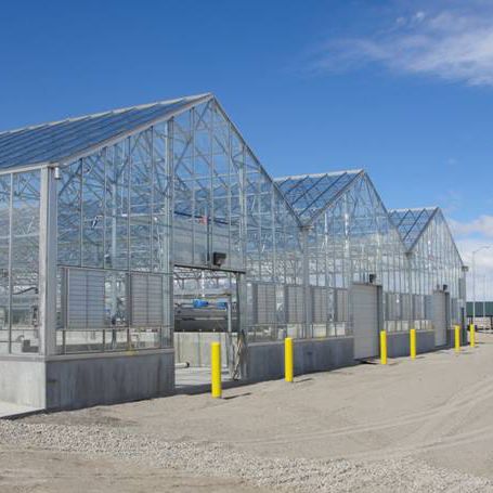 Serre multi chapelle - Nexus Corporation - expérimentale / de production / en verre