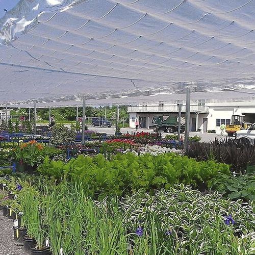 Serre de jardinage - GP  - Rough Brothers Inc - en plastique / avec un toit plat