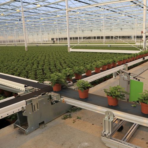 Convoyeur de conteneur - SmartFlo Conveyor belt system - WPS - à bande