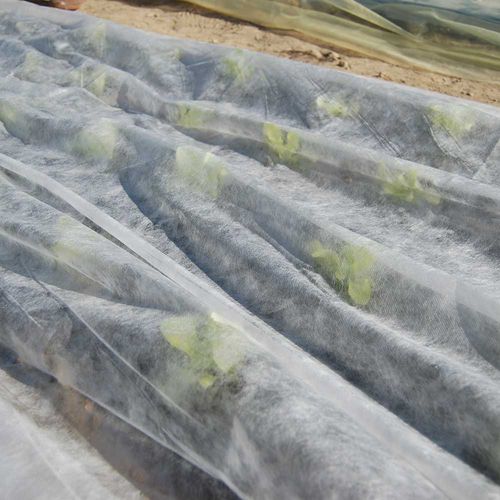 Filet de protection - ORTOCLIMA - Tenax - en plastique / non tissé