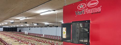 Aérotherme électrique - VARIFLAME™ - CUMBERLAND - à gaz / suspendu / pour poulailler