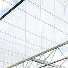 Écran d'énergie - Nobutec Tuinbouwprojekten B.V. - pour serre