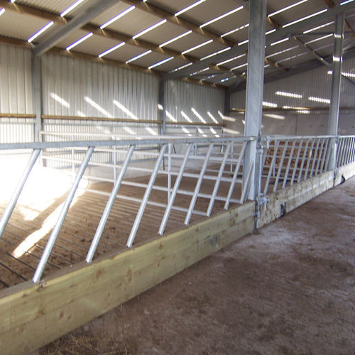 Barrière d'élevage - Diagonal  - O'Donnell Engineering - pour stabulation / pour vaches / en métal