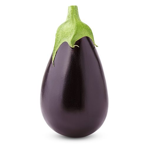 Semence d'aubergine précoce - BLACK BEAUTY - PanDia Seeds