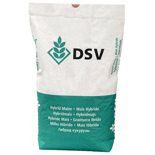 Semence de maïs précoce - LIKEIT - DSV UK - grain / résistante à l'helminthosporiose / résistante à la fusariose