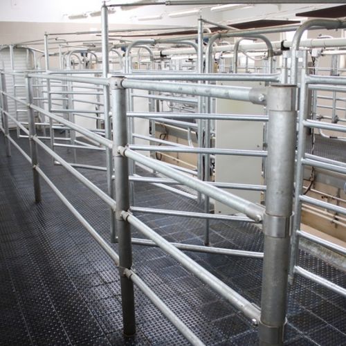 Salle de traite pour vaches - FARMTEC a.s. - en tandem
