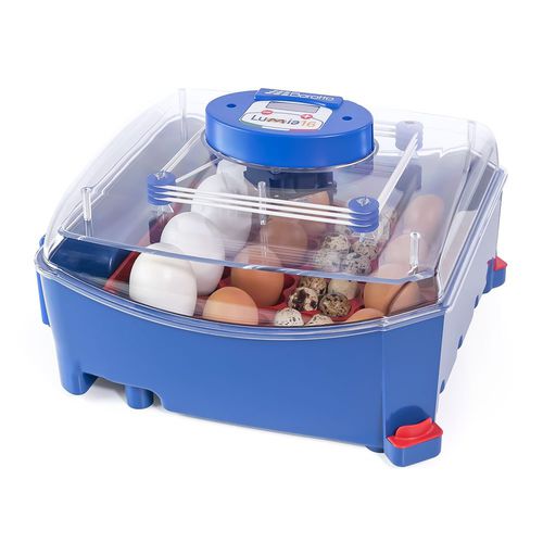 Incubateur d'oeufs canard - LUMIA 16 - BOROTTO - dinde / de poules / de type boîtier