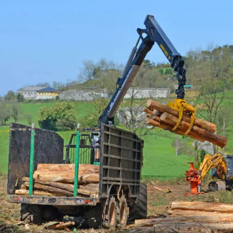 Grue forestière à flèche articulée - 79A - Industrias Guerra S.A. - pour porteur forestier