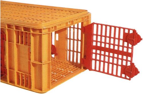 Cage de transport pour dindes - 43 - Carfed - en plastique