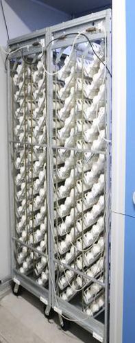 Incubateur d'oeufs canard - Platinum 2.0 - Jamesway Chick Master Incubator Inc. - dinde / de poules / mono-étape