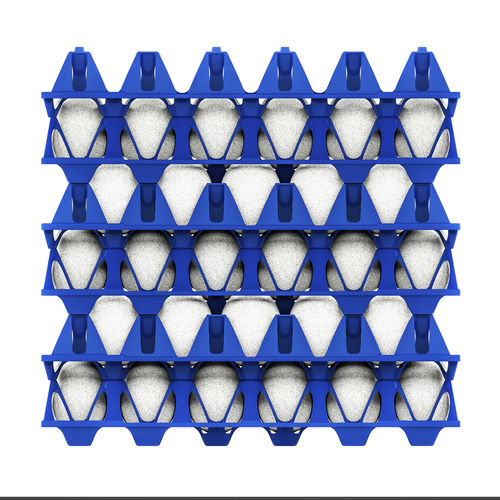 Alvéole à oeufs pour transport - EggsCargoSystem&reg; - GI-OVO B.V. - pour œufs de poule / en plastique / étanche