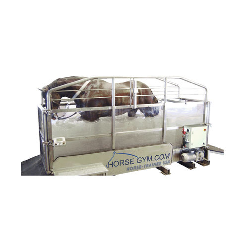 Tapis roulant équin immergé - Horse Gym USA