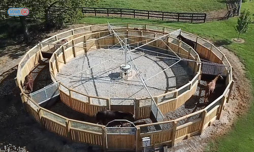 Marcheur pour chevaux rond - Kraft - avec clôture