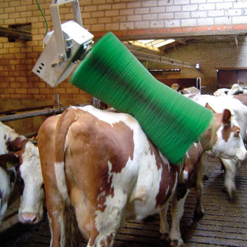 Brosse d'élevage - 1909940 - Schippers - tournante / pour vaches / à moteur
