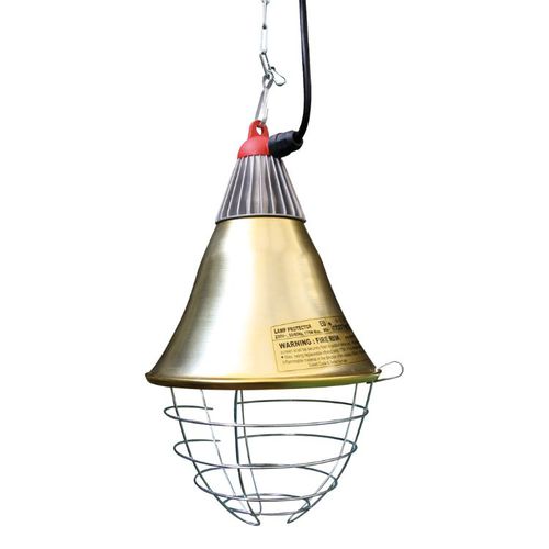 Ampoule chauffante pour porcelets - 4404501-10 - Schippers