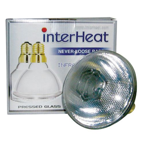 Ampoule chauffante pour porcelets - 4404623-2 - Schippers - à infrarouge