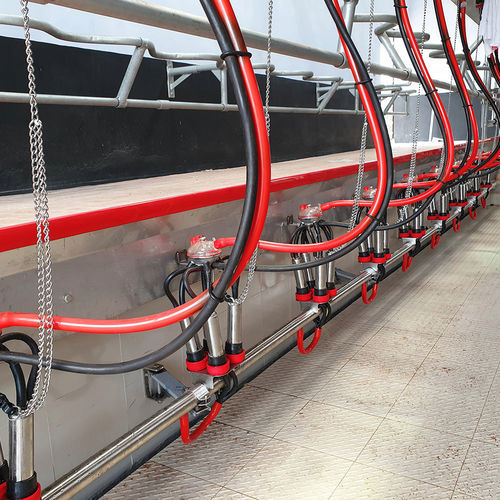 Système de lavage pour salle de traite - Low Line Jetter  - Pearson International - automatique