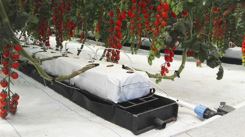 Caniveau en polypropylène - J. Huete Greenhouses