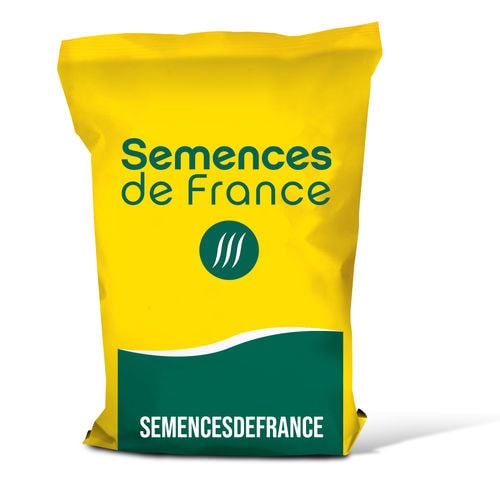 Semence de blé tendre précoce - FORCALI - semencesdefrance - hiver / de printemps / résistante à la rouille
