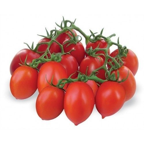 Semence de tomate rouge - Cocktail Remo F1 - Atypyc - résistante à la mosaïque / ronde / hybride