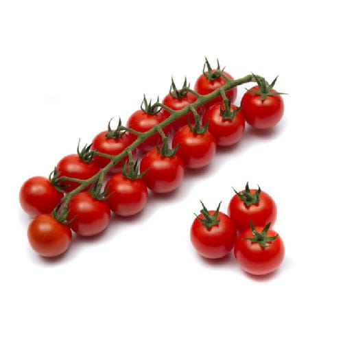 Semence de tomate cerise rouge - Adorion F1 - nunhems - résistante à la mosaïque / hybride / ronde