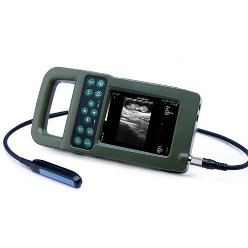 Scanner à ultrason portable - KX5600F - Xuzhou Kaixin Electronic Instrument Co., Ltd - pour grands animaux / pour l'imagerie de la reproduction / alimenté par batterie
