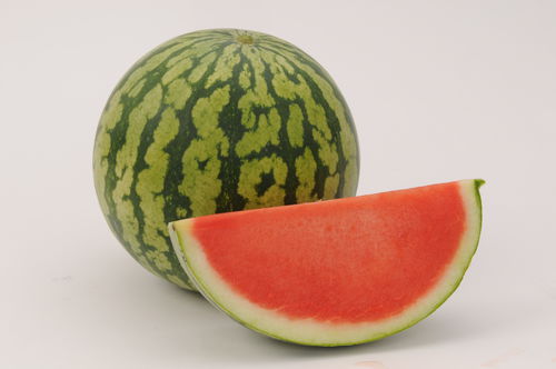 Semence de pastèque précoce - riser - Origene seed - hybride