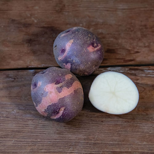 Semence de pomme de terre précoce - Purple Viking - johnnyseeds - de consommation / résistante à la gale commune