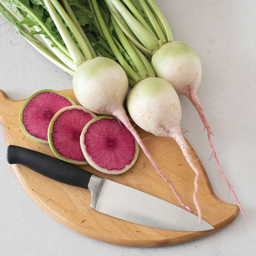 Semence de radis précoce - Purple Heart - johnnyseeds - annuelle / de printemps / hybride