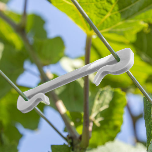 Crampillon de vigne - SGR063PLA - LaCruz S.r.l.