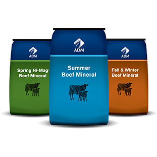 Complément alimentaire pour animaux - Seasonal Fescue - admanimalnutrition - pour bovins / de calcium / de phosphore