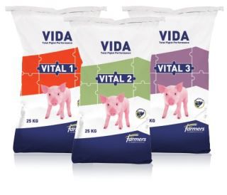 Complément nutritionnel pour animaux - VITAL series - forfarmers - pour porcelets / de zinc / prebiotique