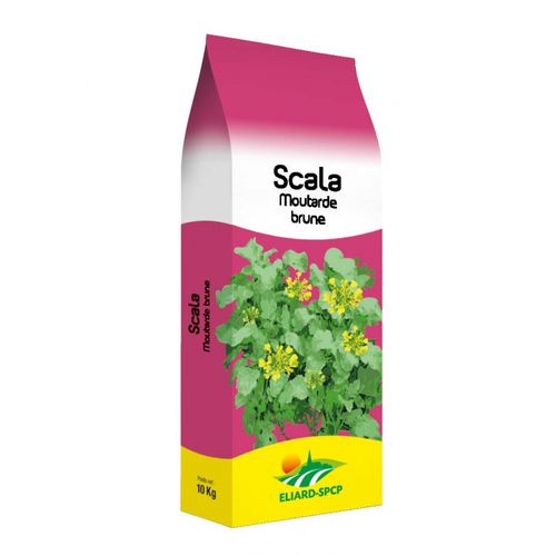 Couvert végétal de moutarde - Scala - eliard-spcp - pour structurer le sol / concurrence des adventices / piège à nitrates
