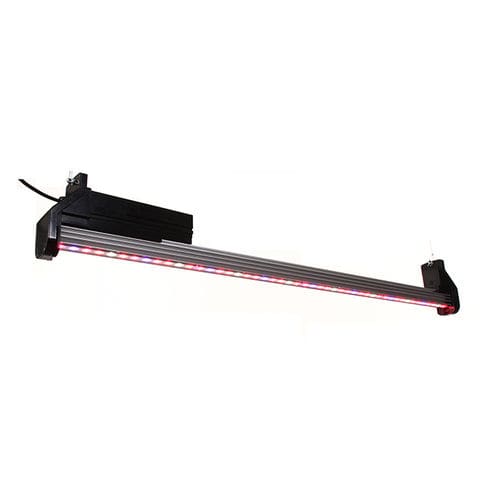 Éclairage pour serre - Agroled - à LED / bleu / rouge
