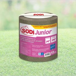 Pierre à lécher pour bovins - SodiJunior - salins-agri - aux oligo-éléments / au magnésium / au phosphore